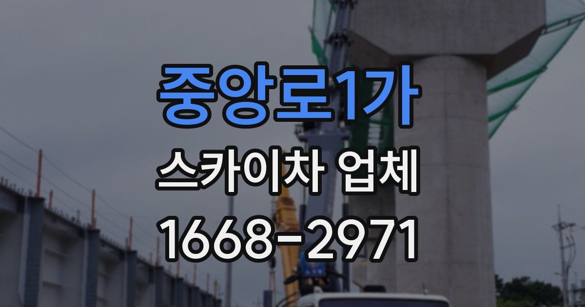 중앙로1가 스카이차 업체