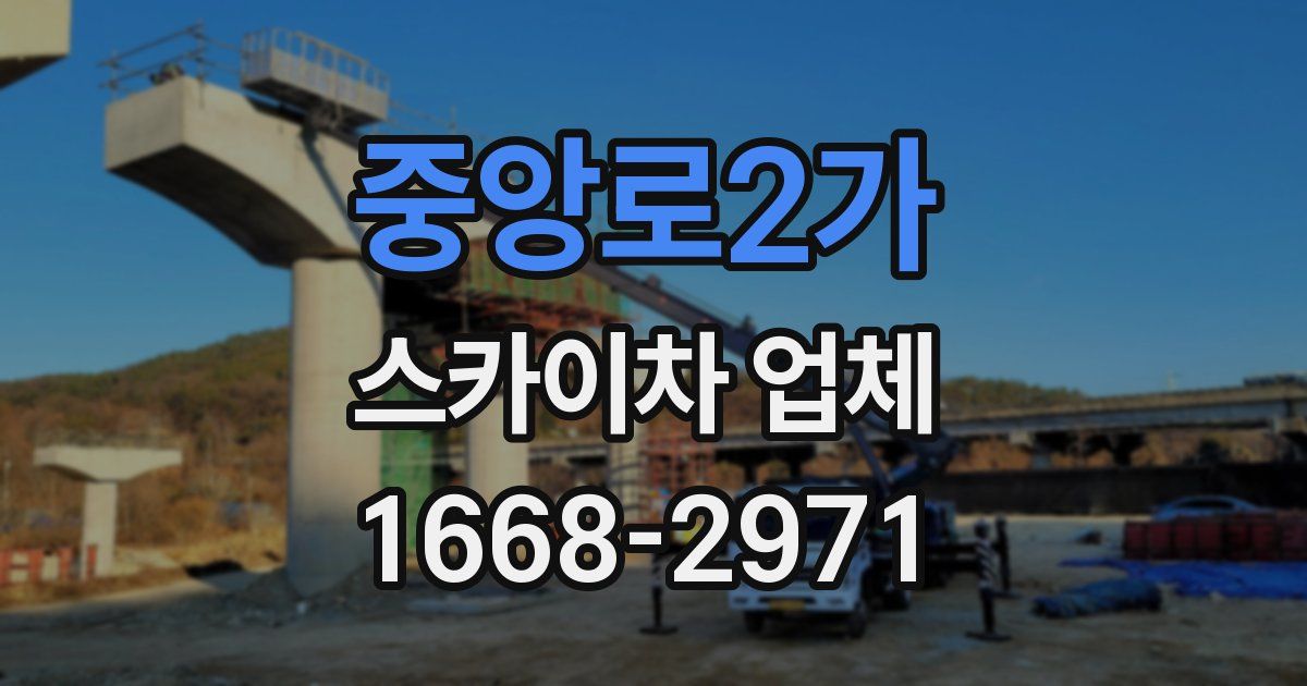 중앙로2가 스카이차 업체