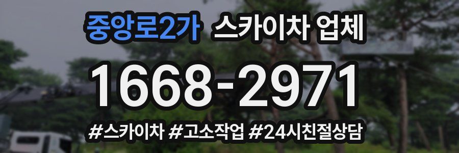 중앙로2가 스카이차 업체