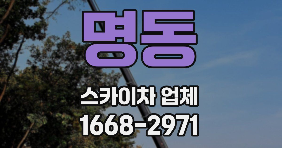 명동 스카이차 업체