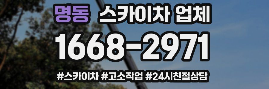 명동 스카이차 업체