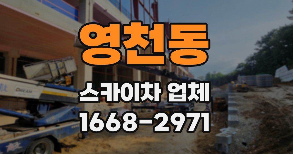 영천동 스카이차 업체