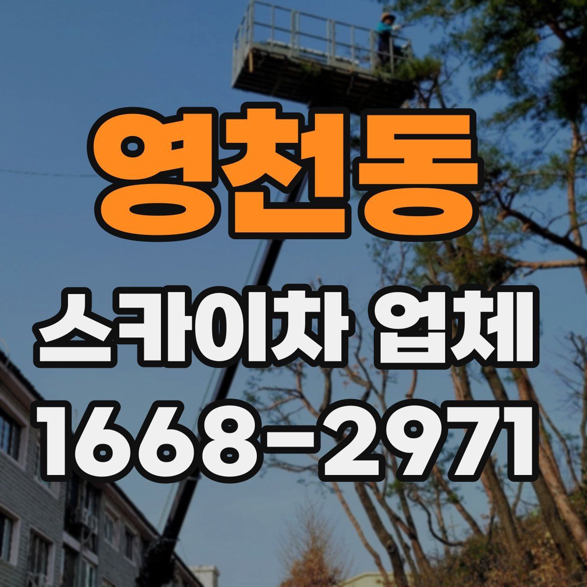 영천동 스카이차 업체