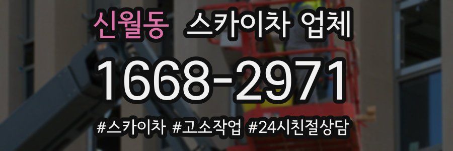 신월동 스카이차 업체
