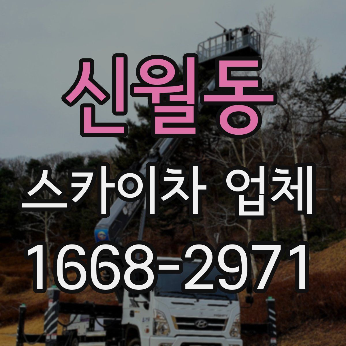 신월동 스카이차 업체