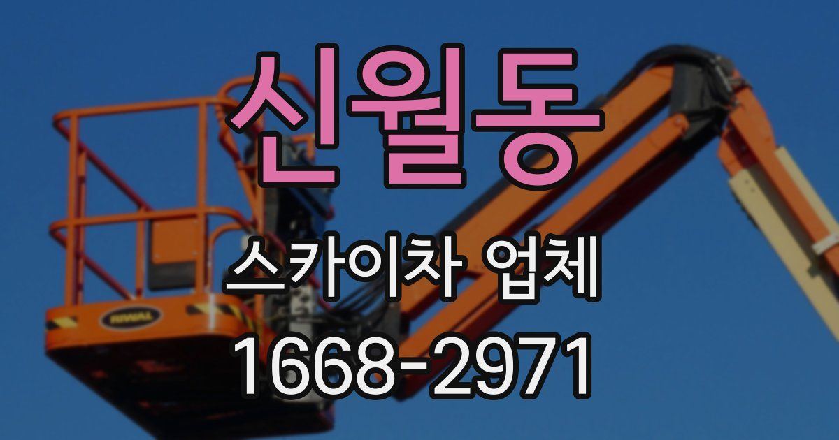 신월동 스카이차 업체
