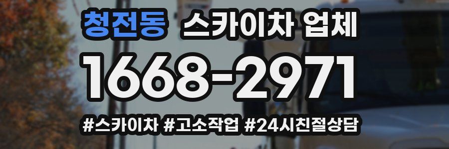 청전동 스카이차 업체