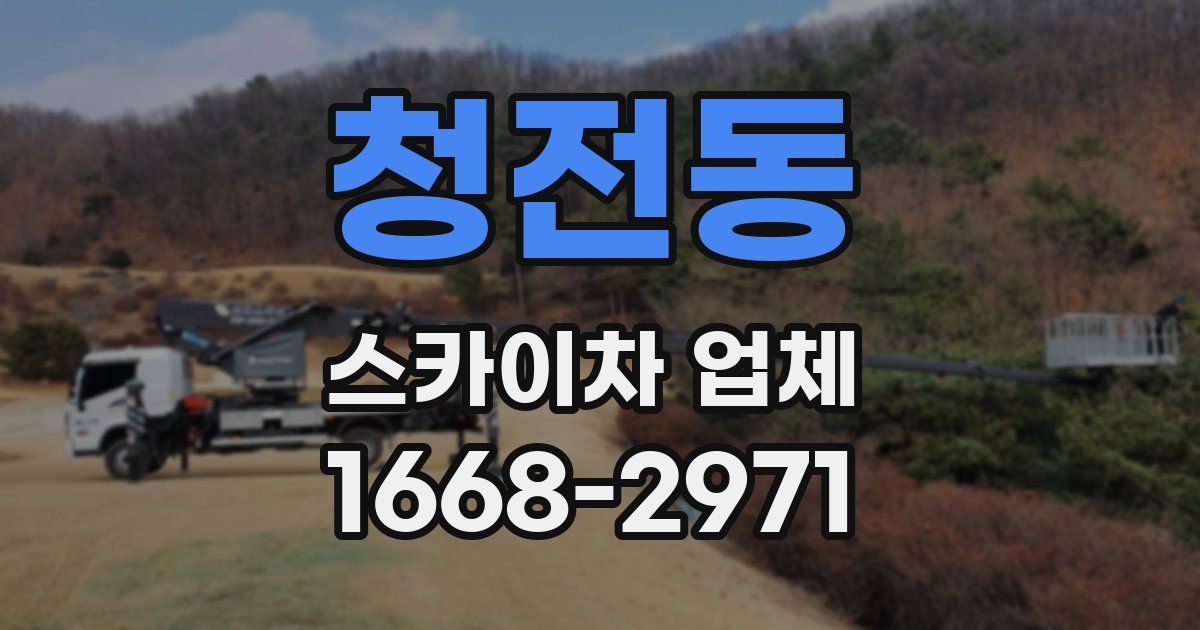 청전동 스카이차 업체