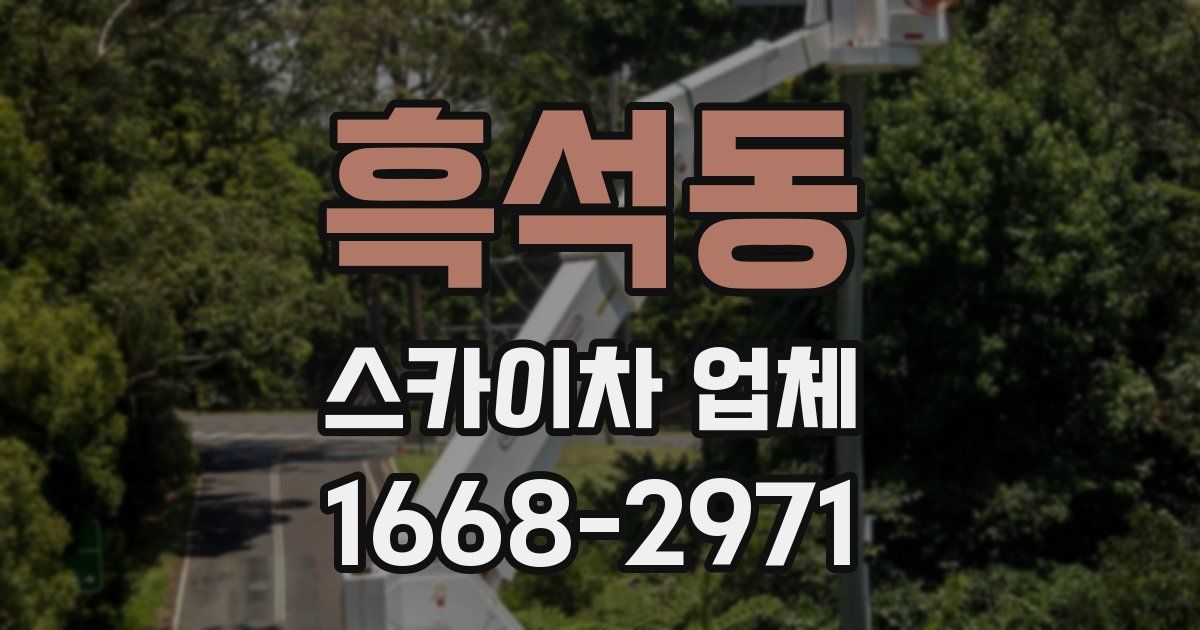 흑석동 스카이차 업체