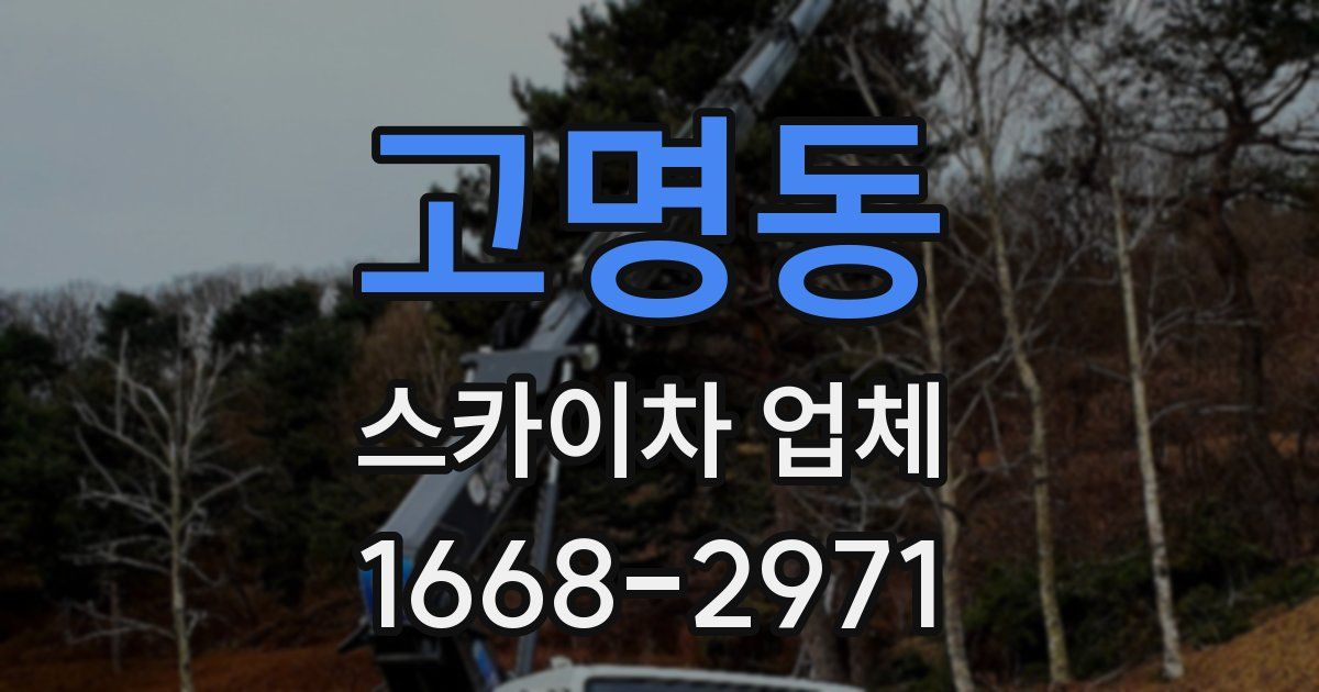 고명동 스카이차 업체