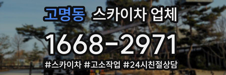 고명동 스카이차 업체