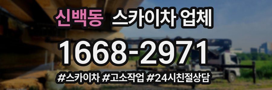 신백동 스카이차 업체