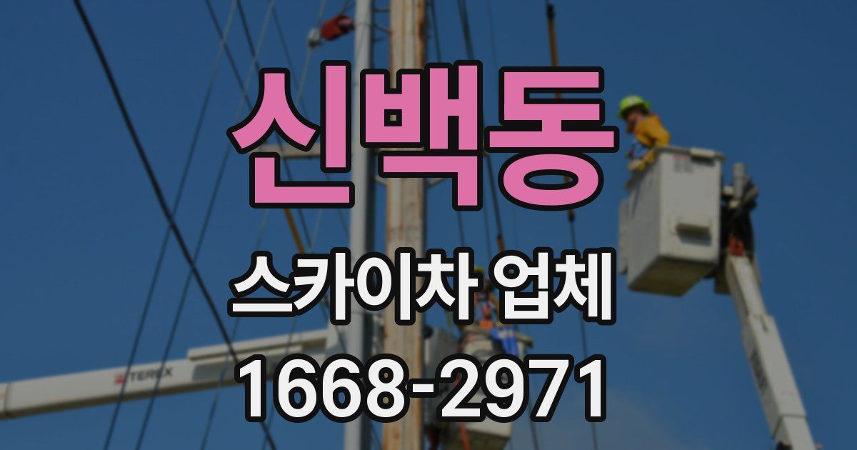 신백동 스카이차 업체