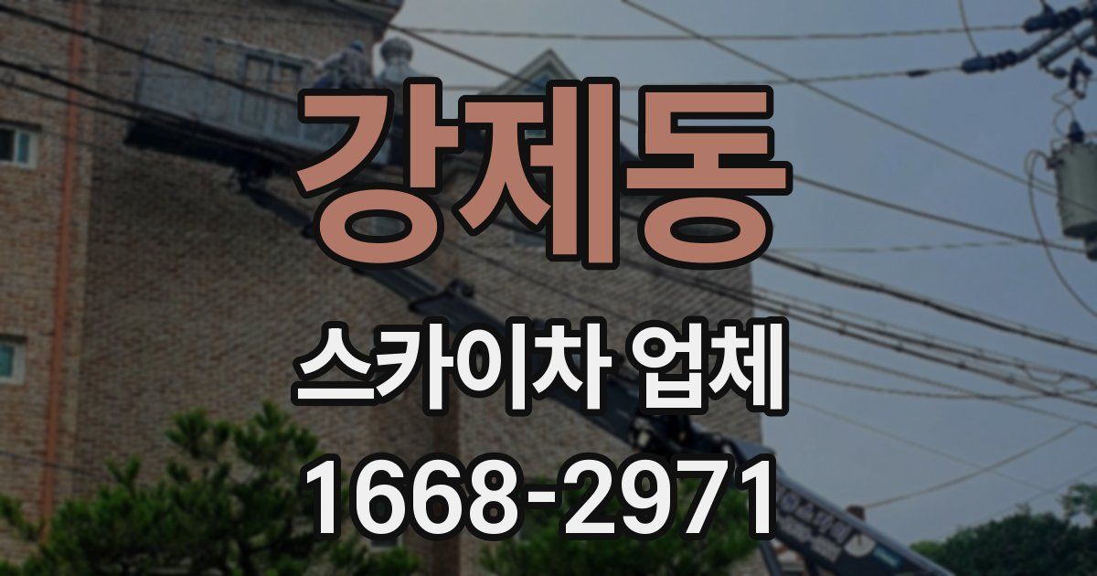 강제동 스카이차 업체