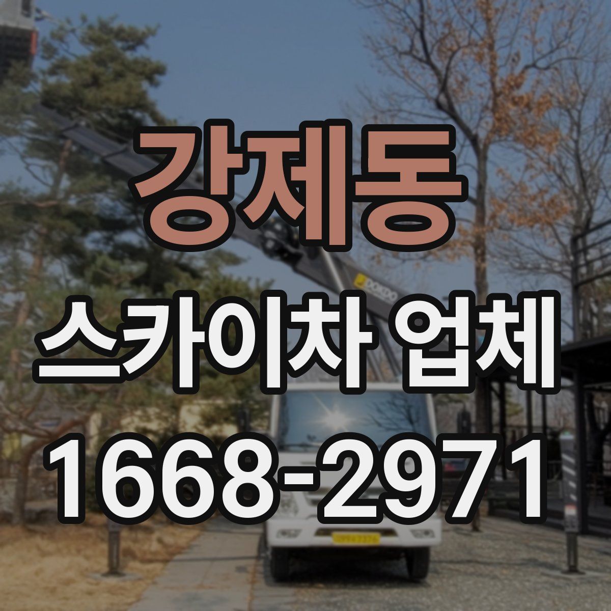 강제동 스카이차 업체