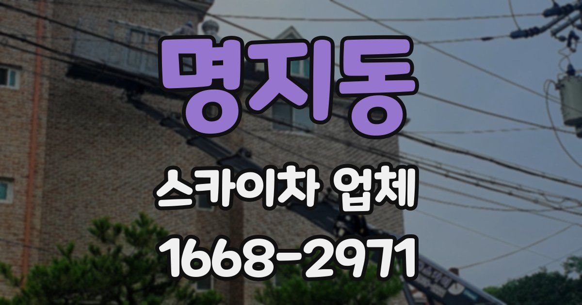 명지동 스카이차 업체