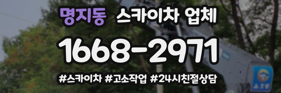 명지동 스카이차 업체