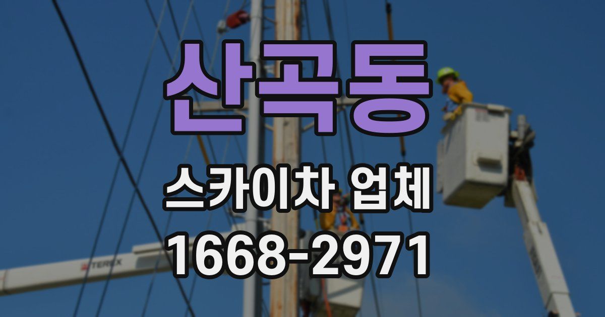 산곡동 스카이차 업체