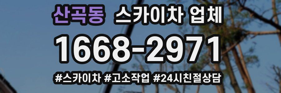 산곡동 스카이차 업체