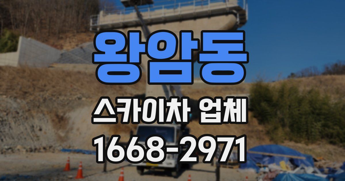 왕암동 스카이차 업체