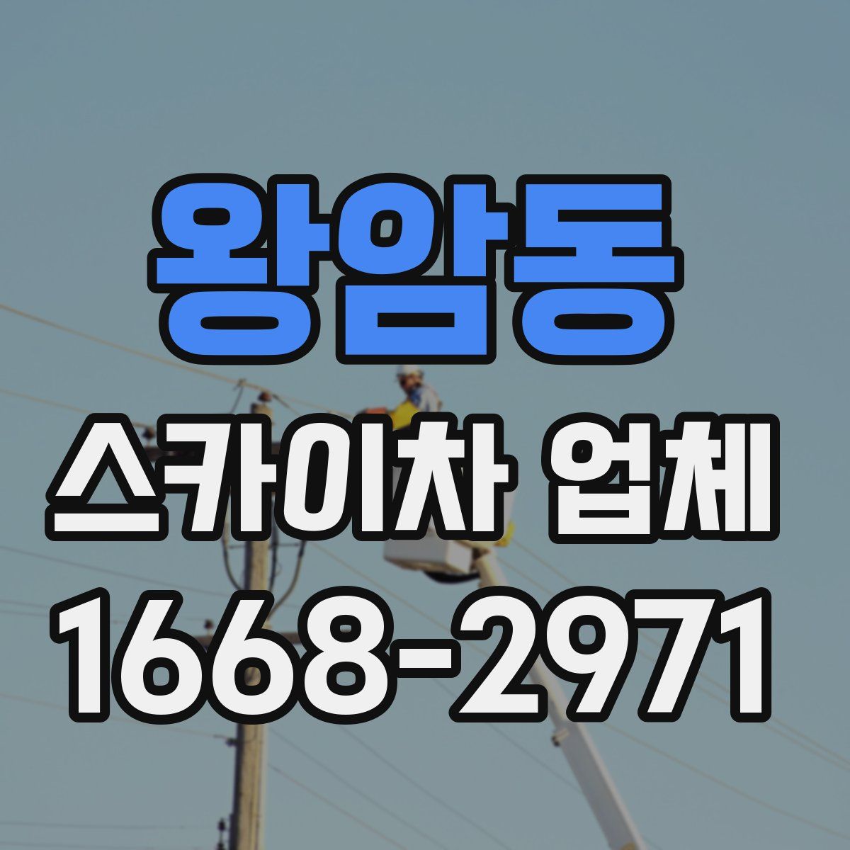 왕암동 스카이차 업체