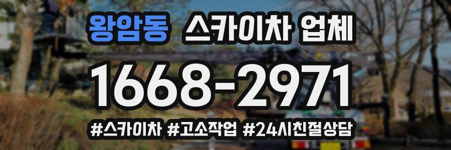 왕암동 스카이차 업체