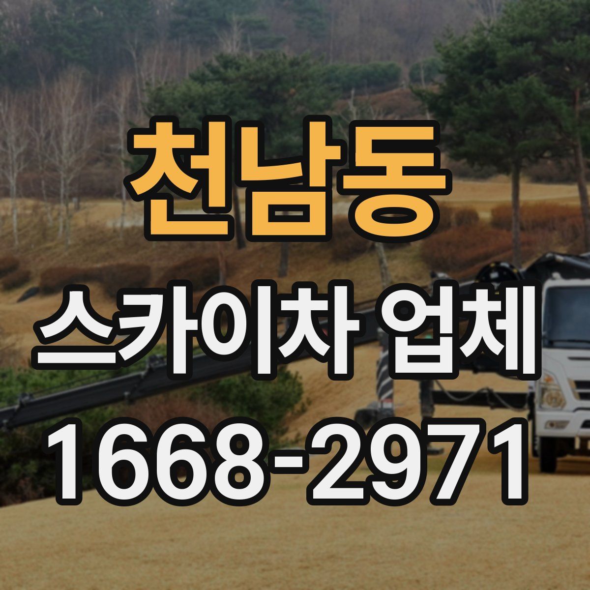 천남동 스카이차 업체