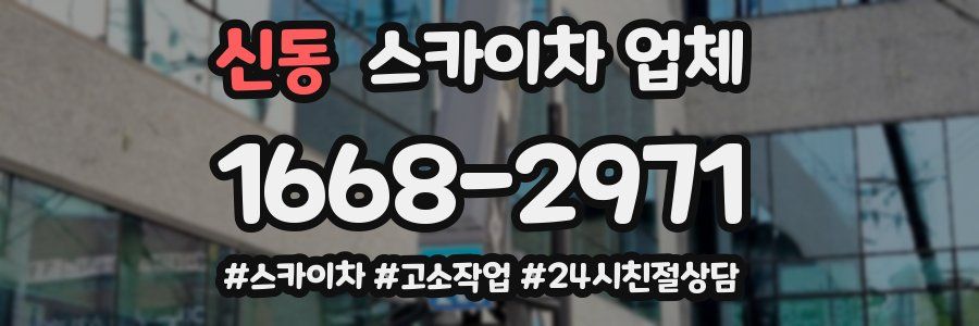 신동 스카이차 업체