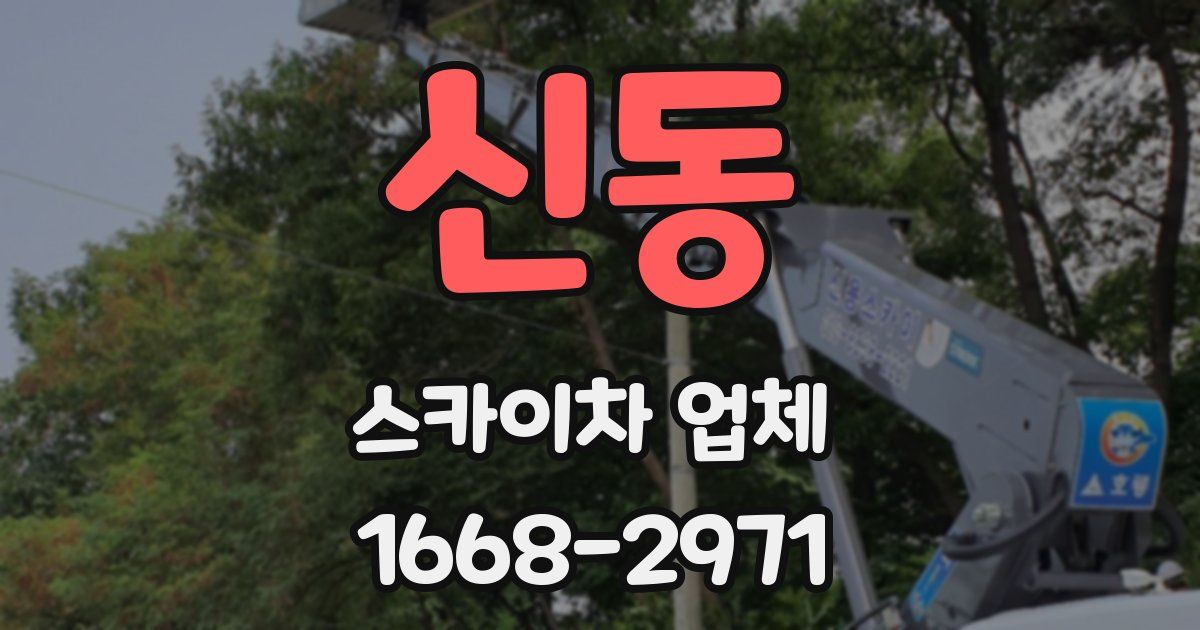 신동 스카이차 업체