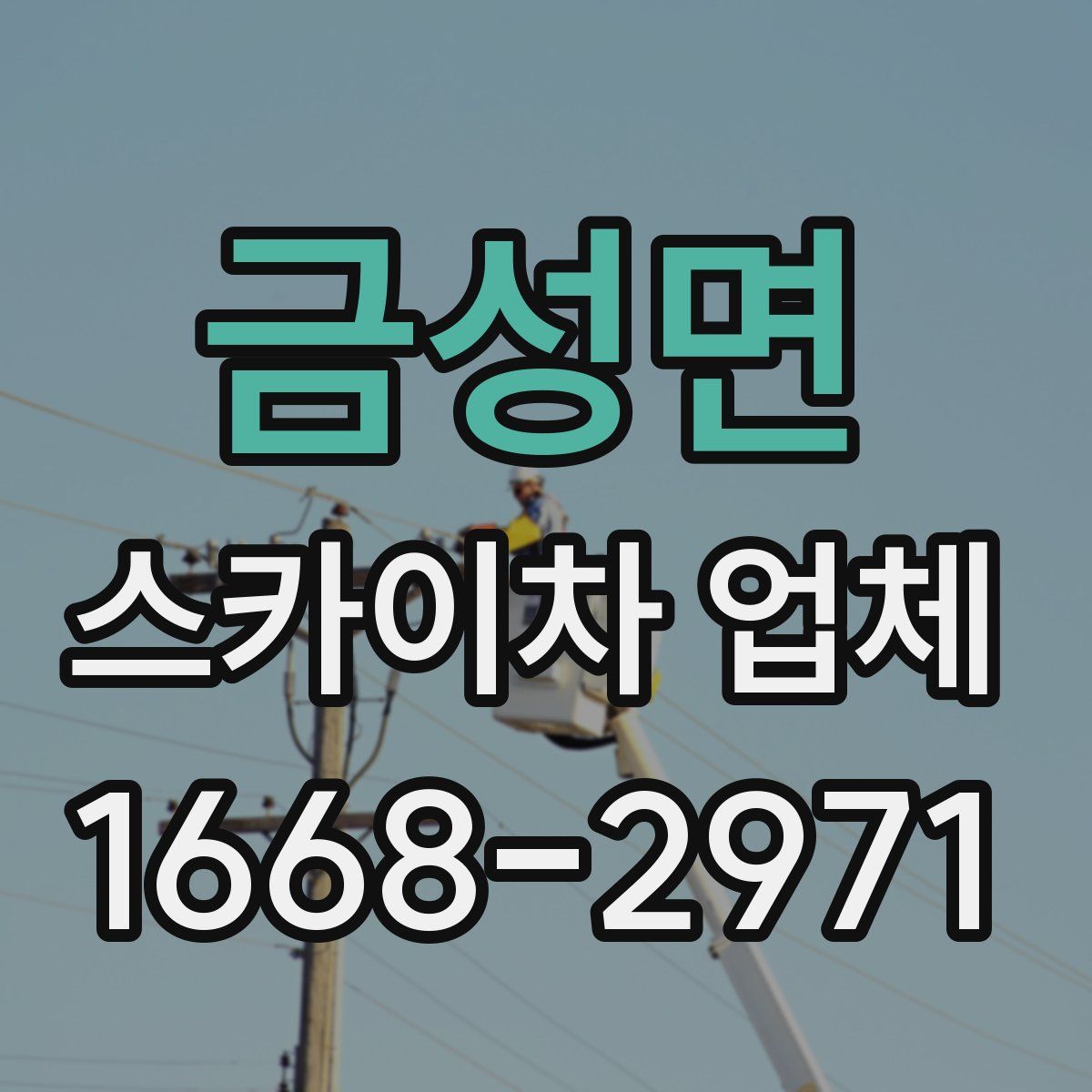 금성면 스카이차 업체