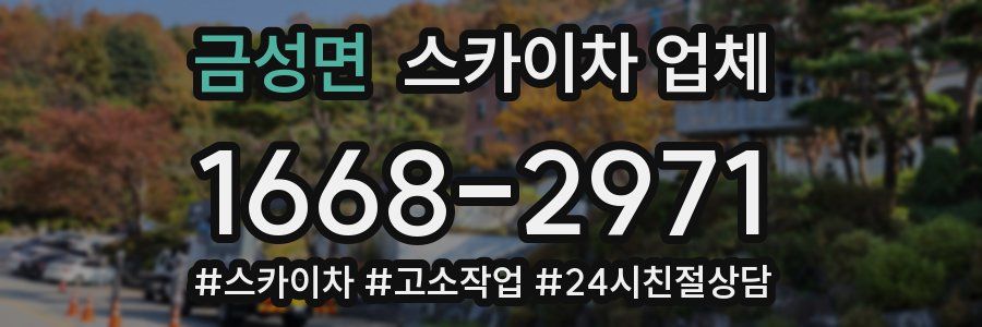 금성면 스카이차 업체