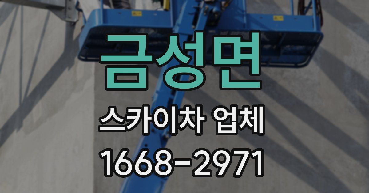 금성면 스카이차 업체