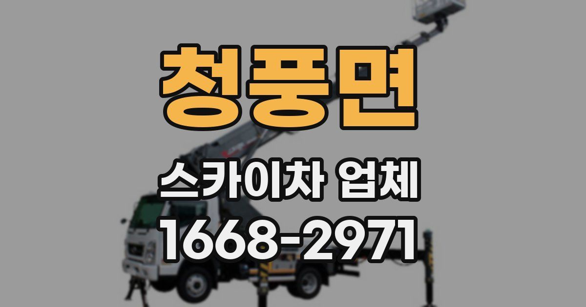 청풍면 스카이차 업체