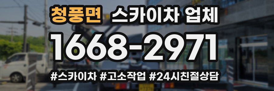 청풍면 스카이차 업체