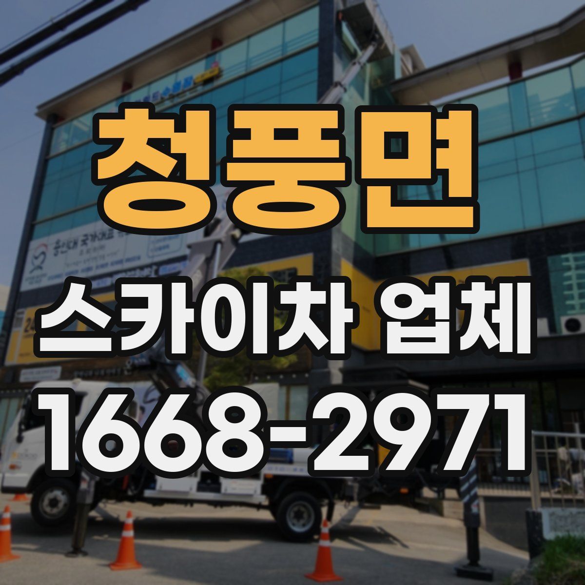청풍면 스카이차 업체