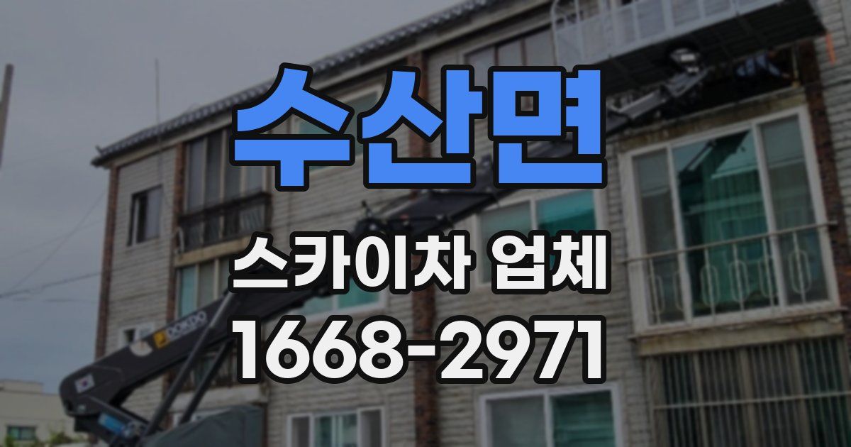 수산면 스카이차 업체