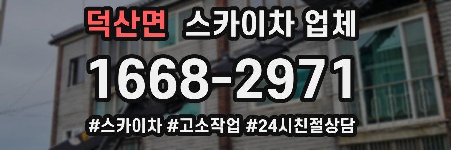 덕산면 스카이차 업체