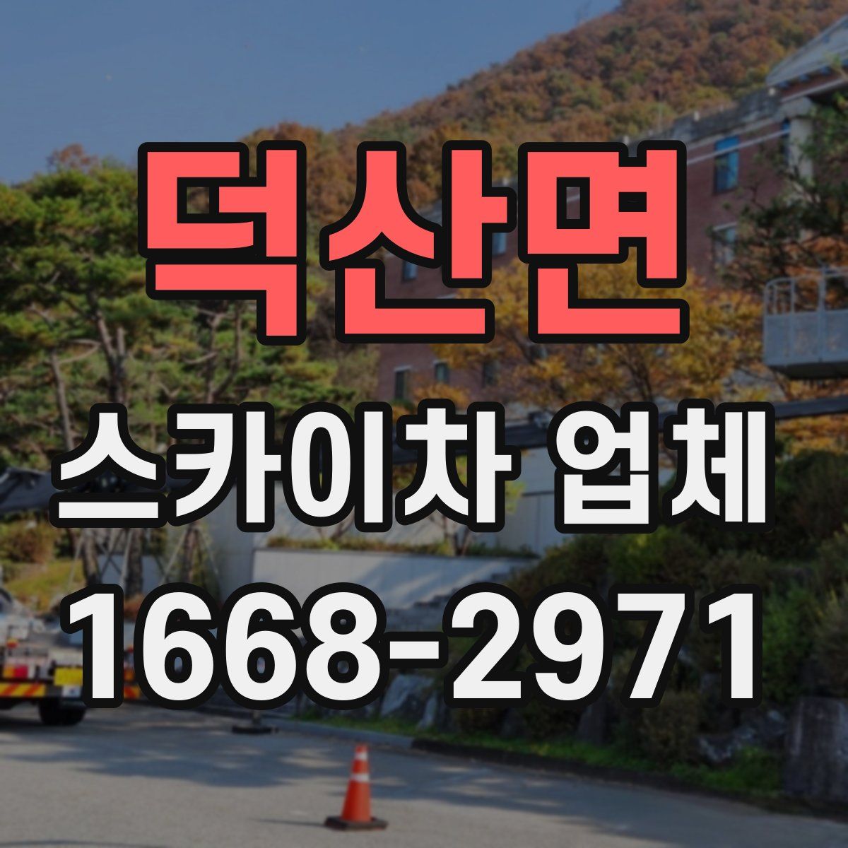 덕산면 스카이차 업체