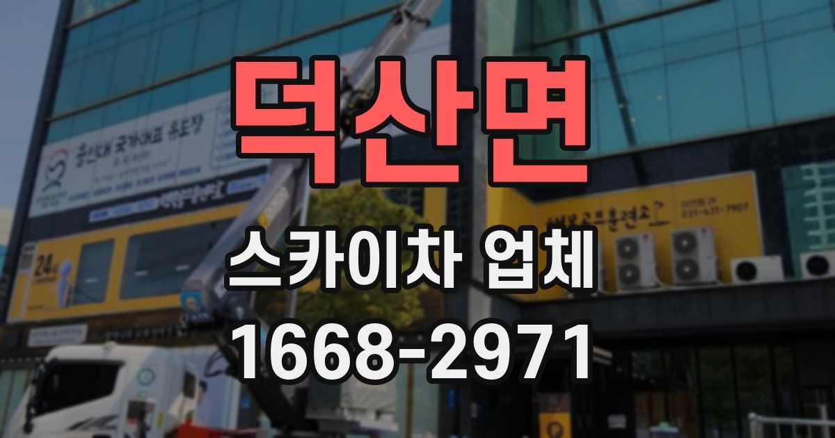 덕산면 스카이차 업체