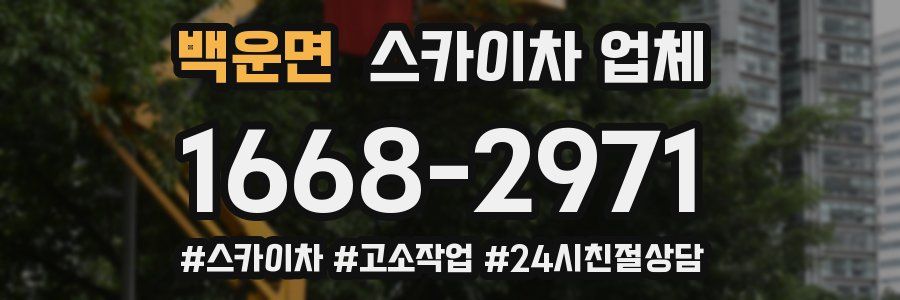 백운면 스카이차 업체