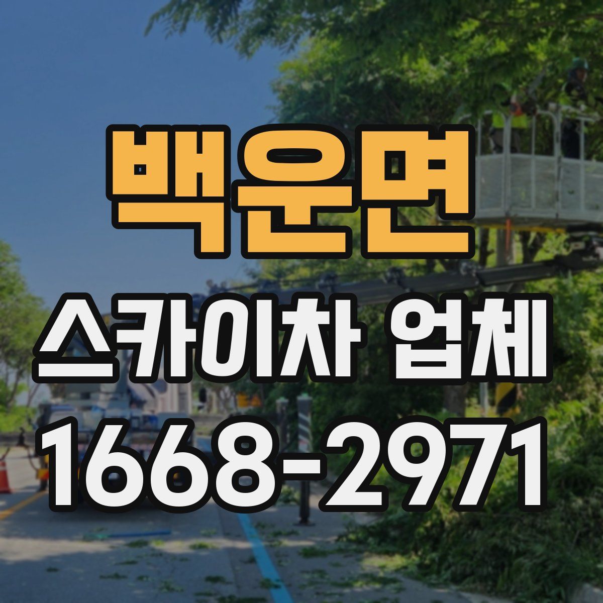 백운면 스카이차 업체