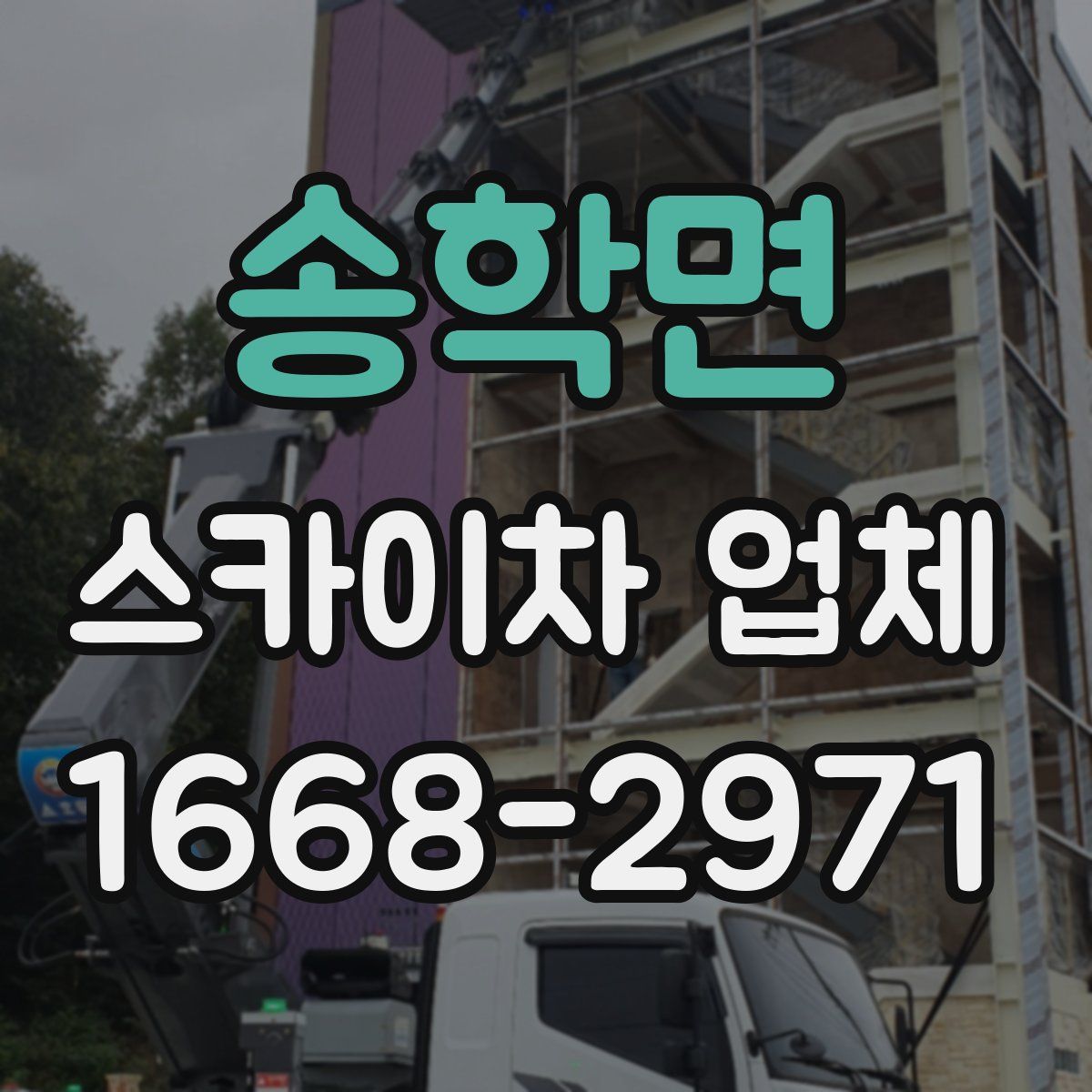 송학면 스카이차 업체