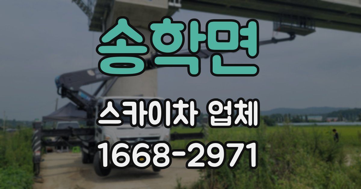 송학면 스카이차 업체