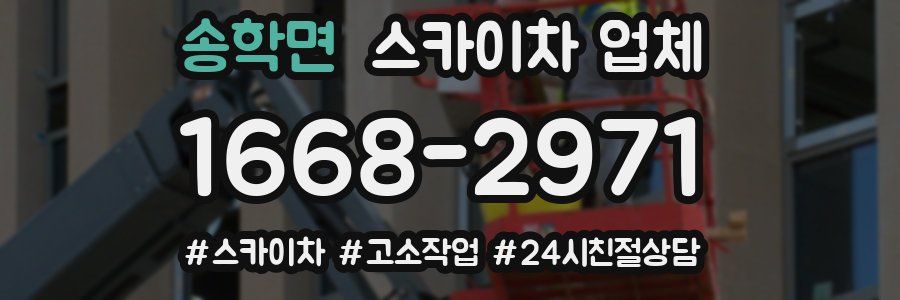 송학면 스카이차 업체