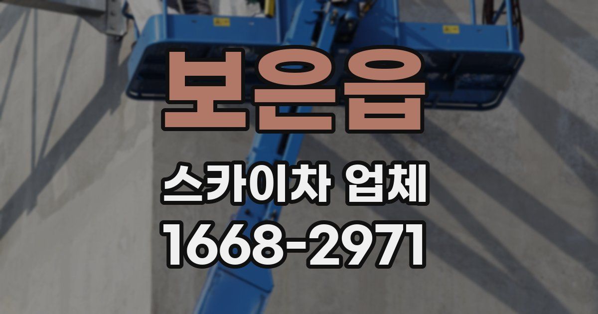 보은읍 스카이차 업체