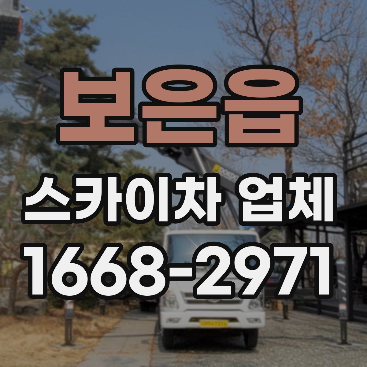 보은읍 스카이차 업체