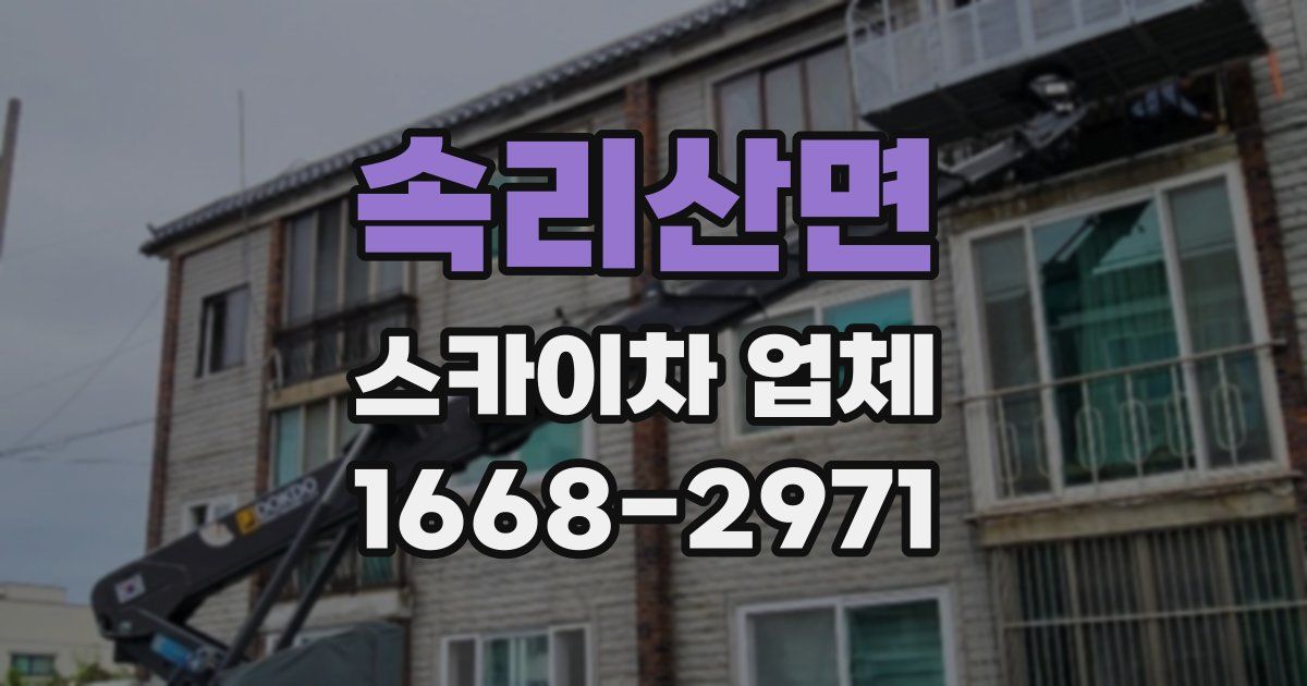 속리산면 스카이차 업체