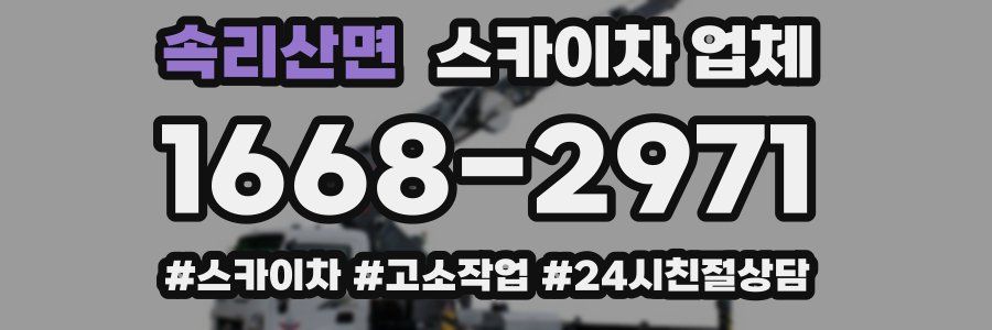 속리산면 스카이차 업체