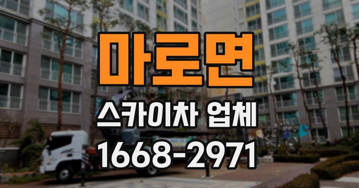 마로면 스카이차 업체