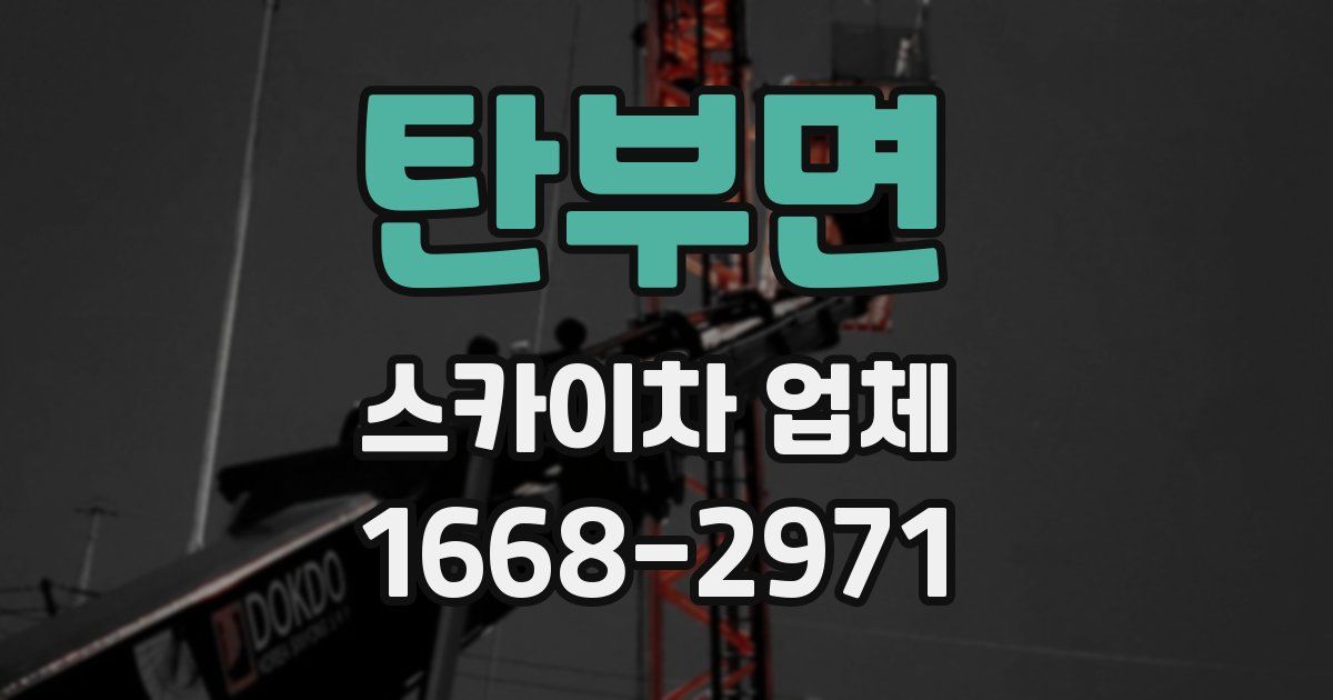 탄부면 스카이차 업체